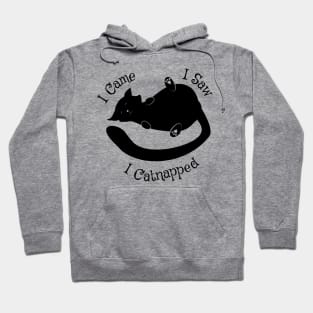 I Came I Saw Catnapped Cute Cat Hoodie